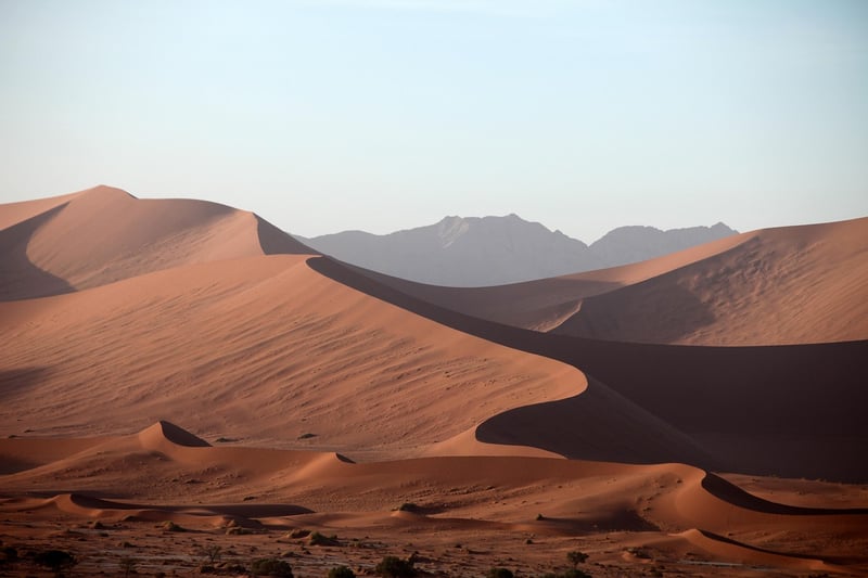 Sahara Desert